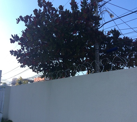 Gallery Image 15